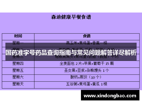 国药准字号药品查询指南与常见问题解答详尽解析